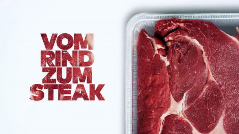 Vom Rind zum Steak - Europas größter Rinder-Schlachthof (2018)