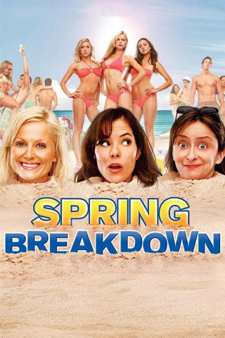 Spring Breakdown - Alter schützt vor Party nicht (2009)
