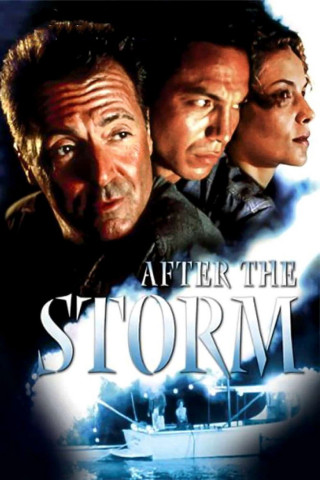 After the Storm (2001)