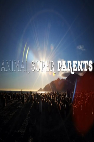 Animal Super Parents – Tierische Familienbande (2016)