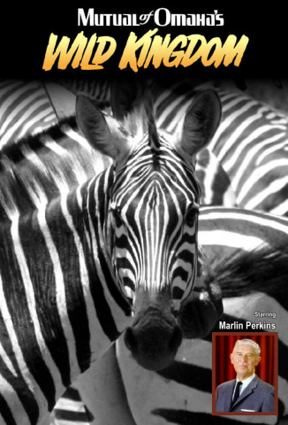 Im Reich der wilden Tiere (2013)