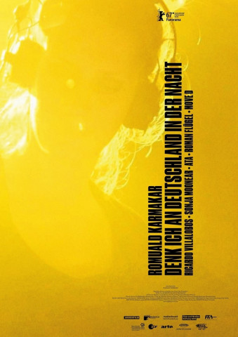 Denk ich an Deutschland in der Nacht (2017)