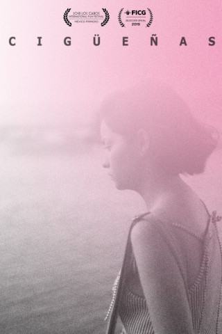 Störche - Abenteuer im Anflug (2016)