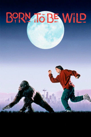 Gorilla auf der Flucht (1995)