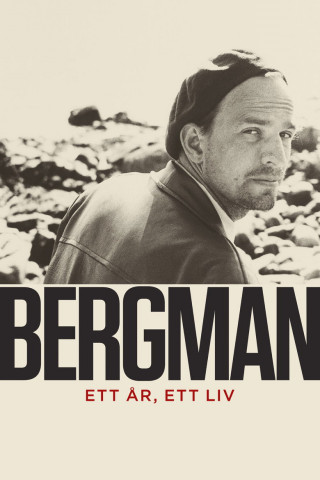 Bergman — A Year in a Life (2018)