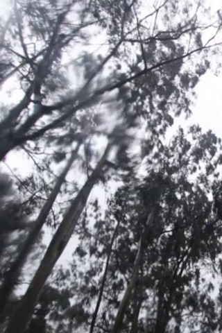 2014 (2015)