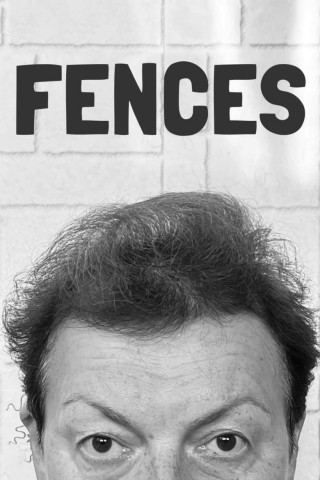 Fences (2016)