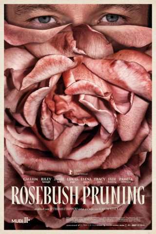 Rosebush Pruning (2026)