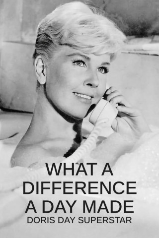 What a Difference a Day Made - Doris Day Superstar (2009)