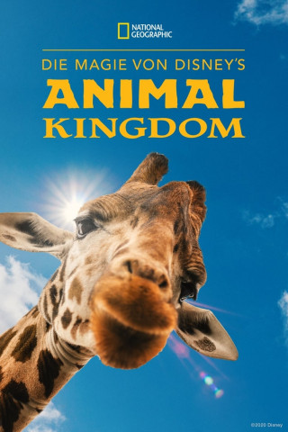 Die Magie von Disney's Animal Kingdom (2020)
