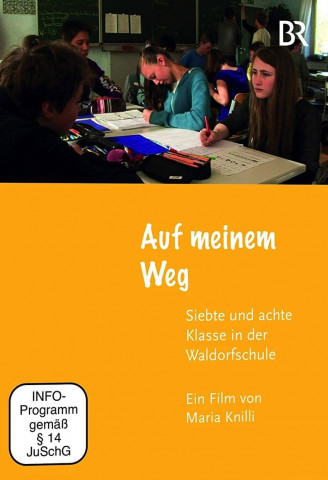 Siebte und achte Klasse in der Waldorfschule (2017)