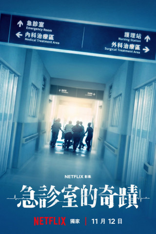 急診室的奇蹟 (2026)