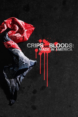 Crips and Bloods (2009)