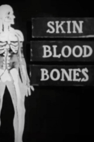 The Water We Drink (1952)