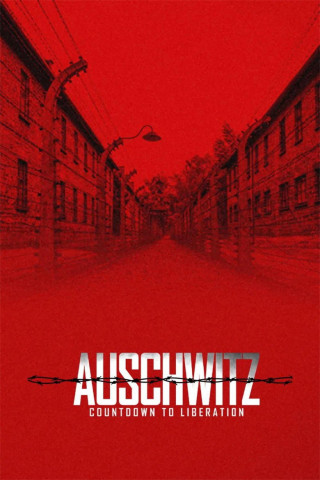 Auschwitz - Countdown bis zur Befreiung (2025)