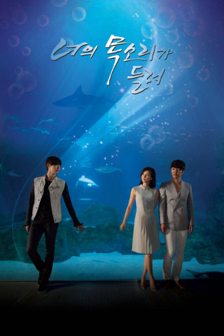 I Can Hear Your Voice (2013)