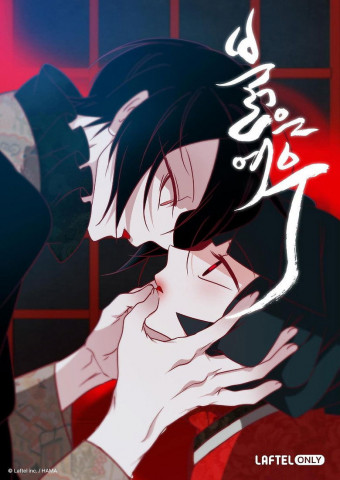 붉은 여우 (2025)