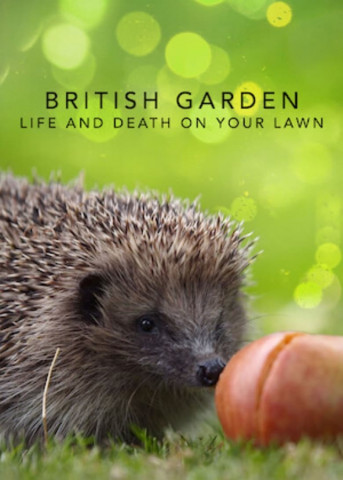 British Garden: Life and Death on Your Lawn (2017)