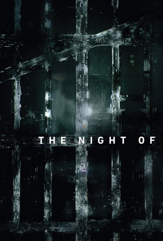 The Night Of - Die Wahrheit einer Nacht (2016)