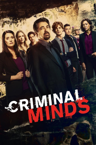 Criminal Minds: Evolution (2005)