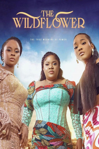 The Wildflower (2022)