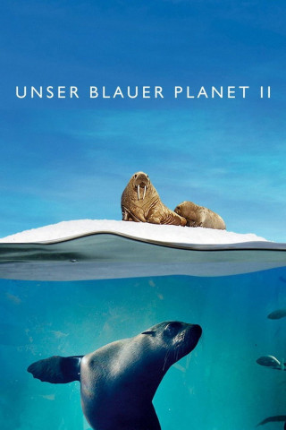 Unser blauer Planet II (2017)