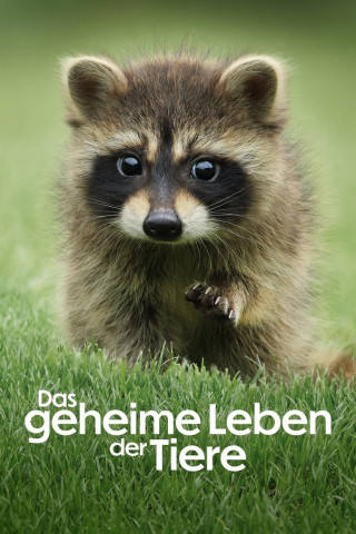 Das geheime Leben der Tiere (2024)