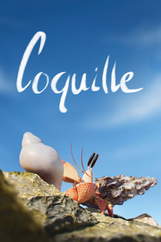 Coquille (2020)