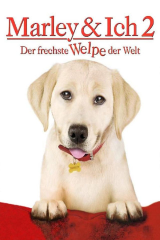 Marley & Ich 2 - Der frechste Welpe der Welt (2011)