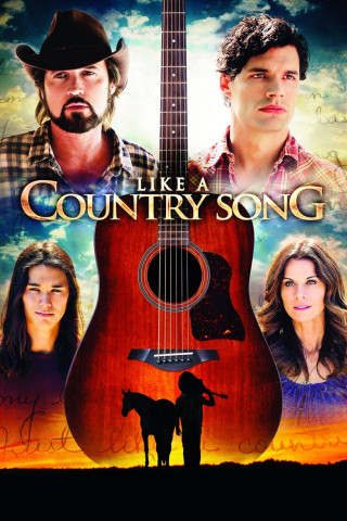 Das Leben ist wie ein Countrysong (2014)