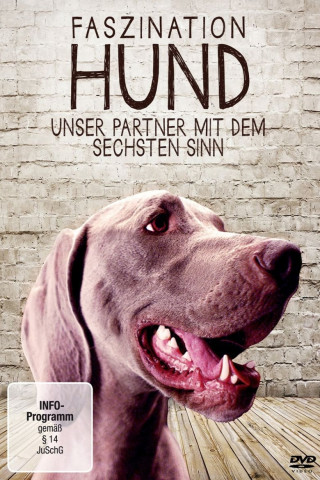 Faszination Hund - Unser Partner mit dem sechsten Sinn (2013)