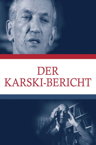 Der Karski Bericht (2010)