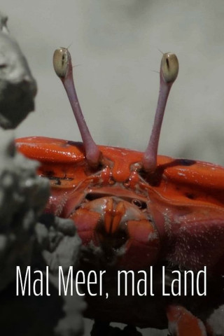 Le Petit Peuple des rivages (2024)