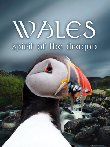 Wildes Wales (2003)