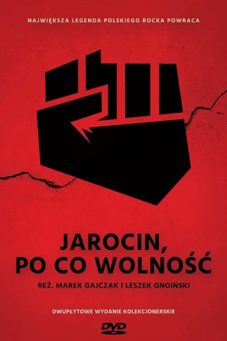 Das Musikfestival von Jarocin (2016)