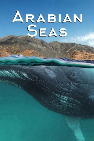 Arabische Meere (2018)
