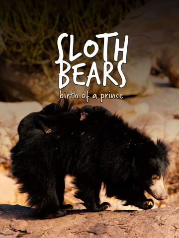 Sloth Bears: Birth of a Prince (2020)