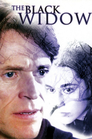 Black Widow - Verhängnisvolle Affäre (2005)