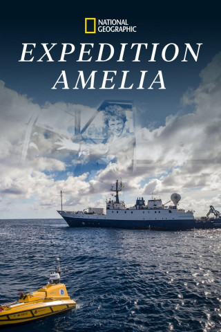 Amelia Earhart - Suche nach einer Legende (2019)