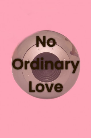 No Ordinary Love (2019)