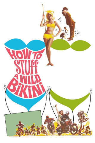 Das Mädchen vom anderen Strand (1965)