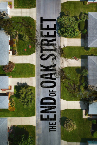 Flowervale Street (2026)