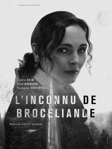 Eine Leiche In Brocéliande (2016)