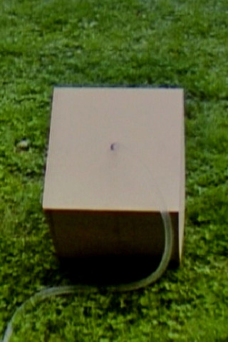 Box 2 (1979)