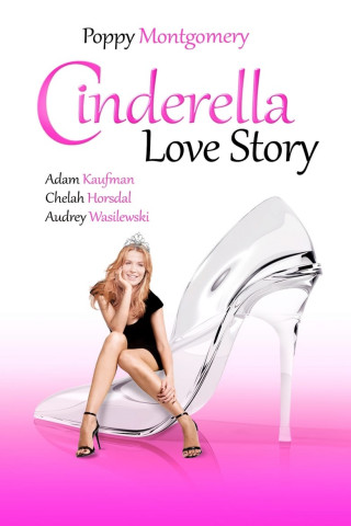 Cinderella Love Story (2010)