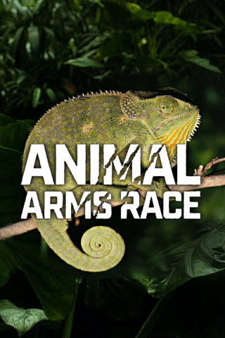 Waffen der Tiere (2019)
