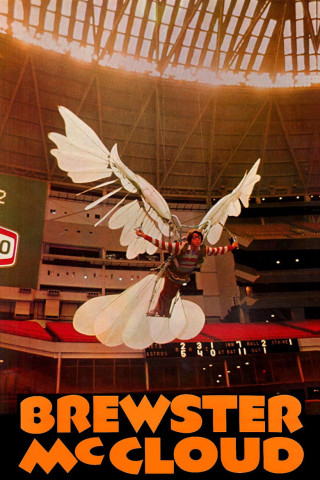 Auch Vögel können töten (1971)