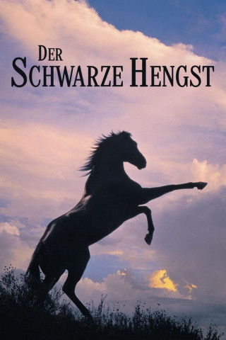 Der schwarze Hengst (1979)