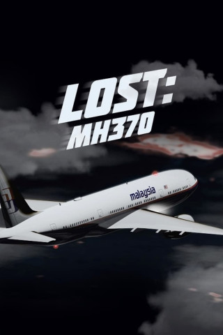 Lost: MH370 (2014)