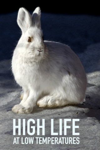 Lungau – Wildnis im Herzen der Tauern (2017)